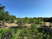 Sale Land Suvelan, -7