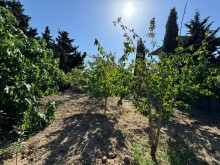 Sale Land Suvelan, -12
