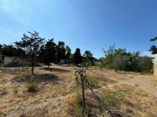 Sale Land Shuvalan, -2