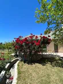 Türkan qəsəbəsində dəniz panoramalı ev satılır. 2 mərtəbəli 5 otaq, -4