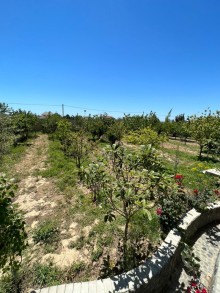 Türkan qəsəbəsində dəniz panoramalı ev satılır. 2 mərtəbəli 5 otaq, -5