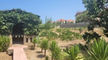 sale-land-baku-khazar-shuvalan-1894-1722847913-s