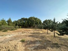 satilir-torpaq-baki-xezer-merdekan-koroglu-2642-1723280565-s