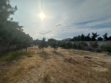 Satılır Torpaq Mardakan baglari, -3
