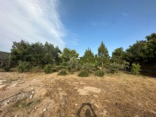 Satılır Torpaq Mardakan baglari, -4