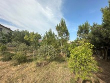 Satılır Torpaq Mardakan baglari, -5