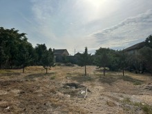 Satılır Torpaq Mardakan baglari, -8