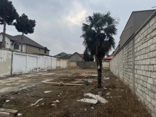 Satılır Torpaq Mardakan baglari, -6