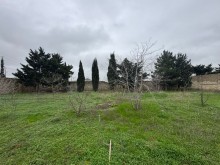 satilir-torpaq-baki-xezer-suvelan-koroglu-1841-1733743675-s