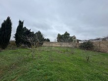 Satılır Torpaq Şüvelan, -4