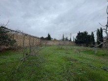 Satılır Torpaq Şüvelan, -6
