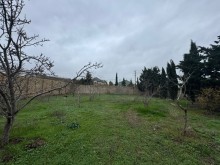 Satılır Torpaq Şüvelan, -7