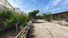Sale Commercial Property Turkan, -3