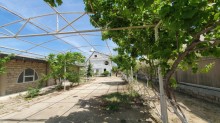 Sale Commercial Property Turkan, -4
