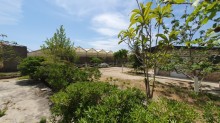 Sale Commercial Property Turkan, -5