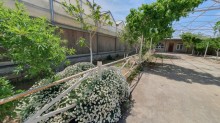 Sale Commercial Property Turkan, -5