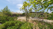 Sale Commercial Property Turkan, -6