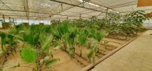 Sale Commercial Property Turkan, -12