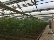 Sale Commercial Property Turkan, -16