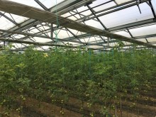 Sale Commercial Property Turkan, -17