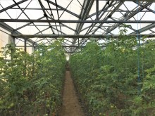 Sale Commercial Property Turkan, -18