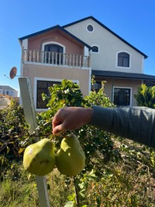 satilir-5-otaq-heyet-evi-nardaran-41452-s