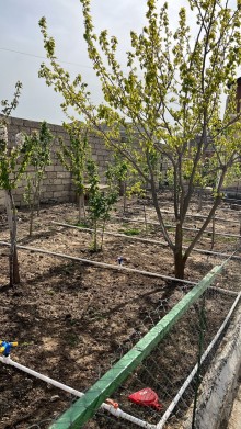Баку, в дачах Нардаран-Лахидж, со стороны моря продаётся загородный дом, -3