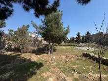 Sale Land merdekan, -2