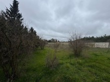 Satılır Torpaq merdekan, -2