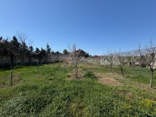 satilir-torpaq-baki-xezer-merdekan-koroglu-2772-1743322324-s