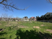 Satılır Torpaq mardakan, -3