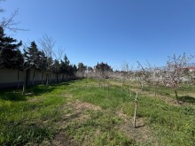 Satılır Torpaq mardakan, -4