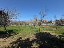 Satılır Torpaq mardakan, -5