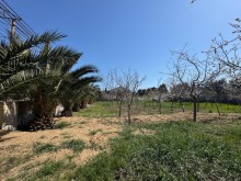 Satılır Torpaq mardakan, -6