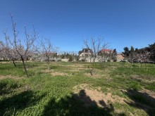 Satılır Torpaq mardakan, -7