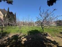 Satılır Torpaq mardakan, -9