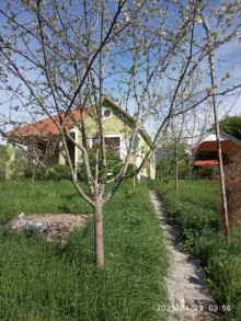 İsmayıllı rayonu Qalacıq kəndi Rent (daily) Villa, -4
