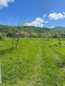 İsmayıllı rayonu Qalacıq kəndi Rent (daily) Villa, -7