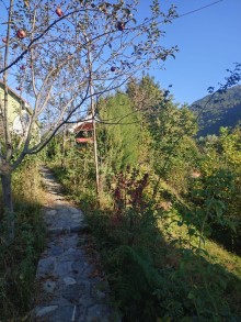 İsmayıllı rayonu Qalacıq kəndi Rent (daily) Villa, -16