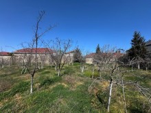 Satılır Torpaq buzovna, -5