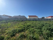 Sale Land merdekan, -8