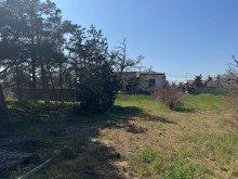 Satılır Torpaq suvelan, -2