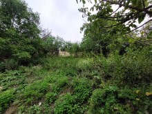 Sale Cottage Quba, -3