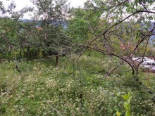 Sale Cottage Quba, -5