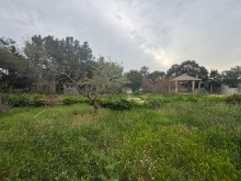 Satılır Torpaq merdekan, -14