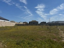 Sale Land merdekan, -5