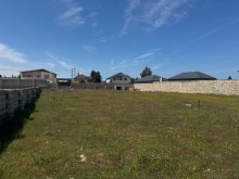 Sale Land merdekan, -6