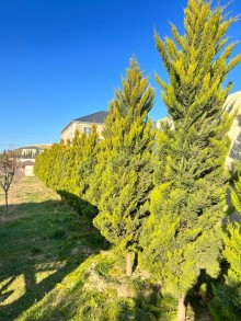 Villa for Sale in Novxani Spacious 2-storey villa, -9
