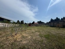 Sale Land merdekan, -4