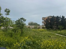 Sale Land merdekan, -3